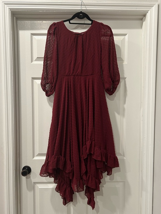 Mia Joy Other - Mia Joy Joyfolie Burgundy Swiss Dot Ruffle Dress Size 12